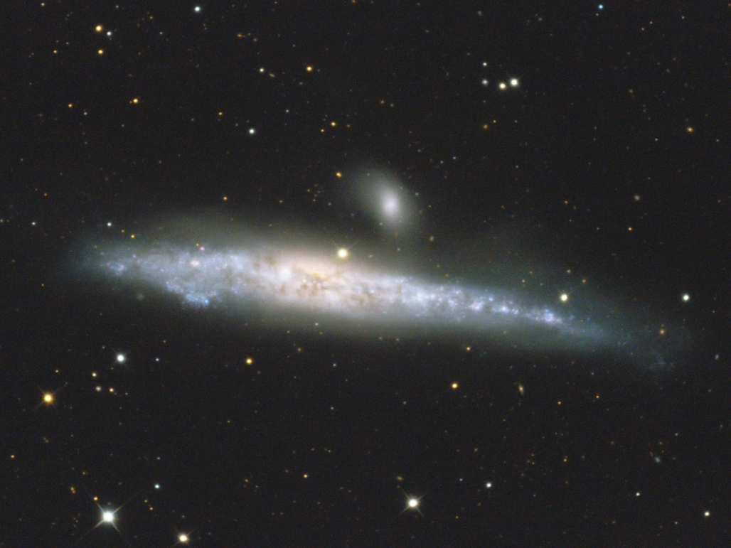 鯨魚星系 NGC 4631